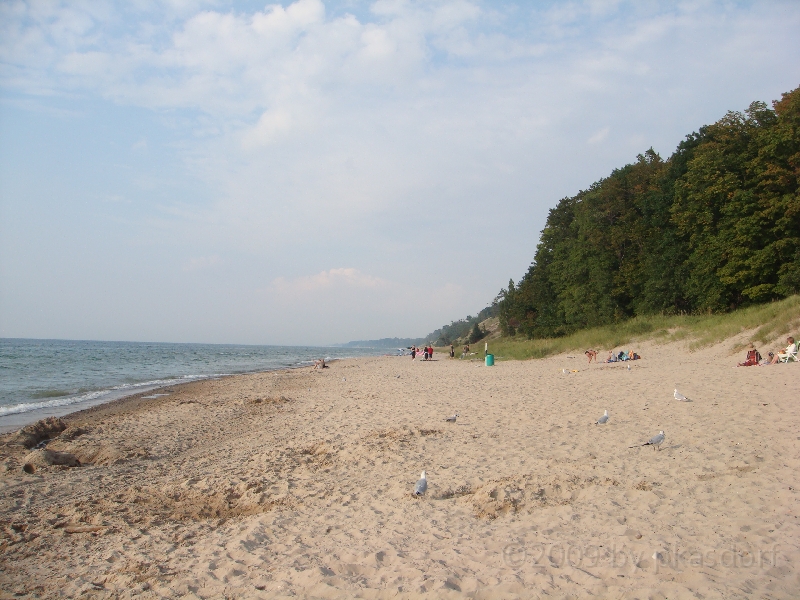 Western Michigan [2009] 574.JPG - Scenes from Van Buren State Park in Michigan.